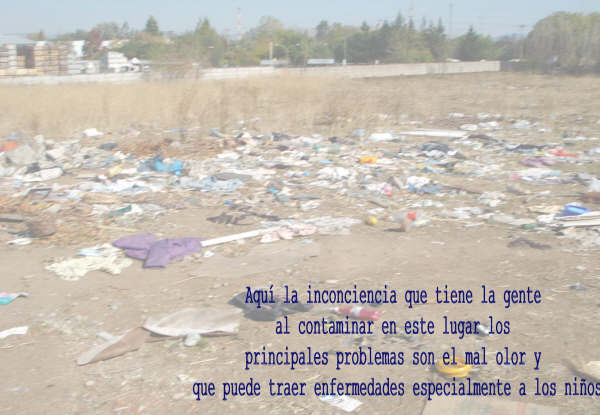 Contaminacion De Nuestro Hogar